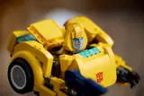 Bumblebee image 12