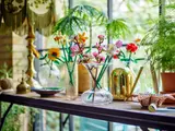 LEGO Botanical collection