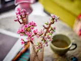 Close-up LEGO Cherry Blossoms