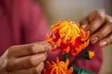 Hands adjusting chrysanthemum petals.