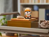 Cody displayed on a shelf.