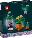 LEGO Cozy Plants box back.