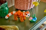 Red Panda on a shelf display.