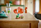 Clownfish on a table.