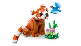 Red Panda and curious butterfly.