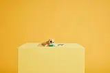 LEGO seal on yellow block.