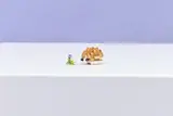 LEGO hedgehog and plant on white background.