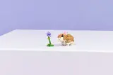 LEGO hamster and flower on white background.