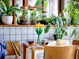 LEGO daffodils in vase on table with plants.