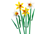 Four LEGO daffodils, yellow and white, green stems.