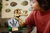 Child examining LEGO T. rex skull.