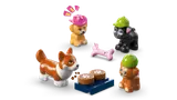 Dogs and treats close-up.
