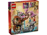 LEGO Ninjago 71819 box back.