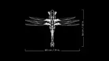Ornithopter dimensions schematic.
