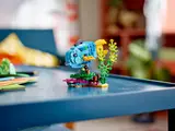 Fish build on table.