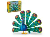 LEGO peacock and Creator 3-in-1 box.