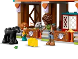 LEGO Friends set with box.