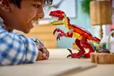 Boy and raptor close-up.