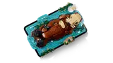 Top view of otter build.
