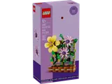 LEGO Flower Trellis Display 40683 box front.