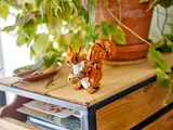 LEGO squirrel on wooden shelf.