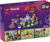 LEGO Friends Forest Tea Party Box Back