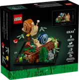 Back of LEGO Friendly Snails box.