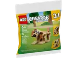 Front of Creator 30666 polybag.