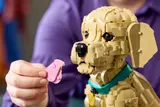 Woman showing removable tongue to LEGO puppy.