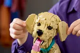 Woman adjusting LEGO puppy's ears.