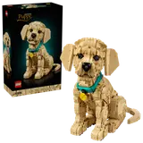 Puppy model next to LEGO Icons box.