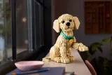Puppy model on window sill.