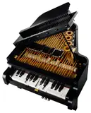 Close-up of Grand Piano internal strings and keys.