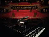 LEGO Grand Piano in a grand concert hall.