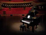 LEGO Grand Piano and stool on concert stage.