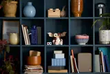 Gizmo on a shelf.