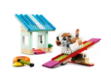 Dog Seesaw Build