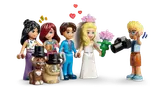Wedding party, close-up.