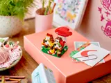 LEGO Hedgehog Picnic Date set on a gift box.