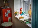 Heihei on windowsill display.