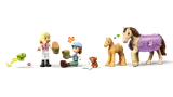 Close-up of LEGO Friends minifigures and animals.