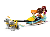 Minifigures on dog sled.