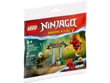 LEGO Ninjago 30650 polybag front.