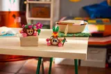 Kakamora figures on display table.