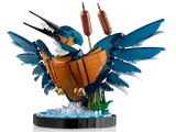 Front view of Kingfisher model.