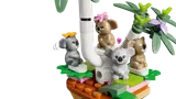 Koalas in Tree