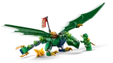 Dragon landing with Lloyd.