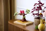 Love Birds with plants.