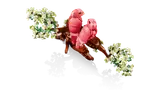 Top view of love birds.