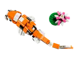 Koi Fish top view
